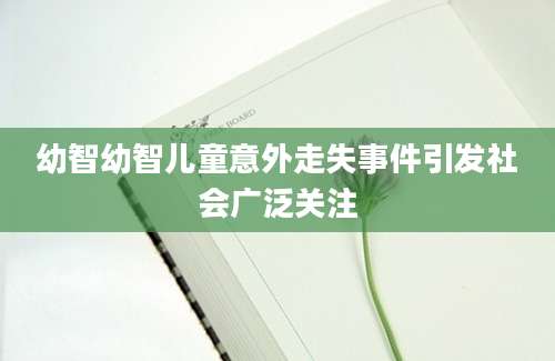 幼智幼智儿童意外走失事件引发社会广泛关注