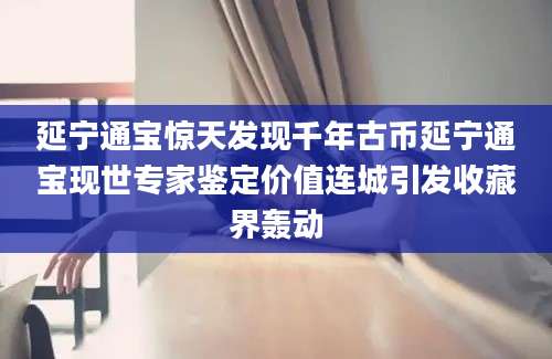 延宁通宝惊天发现千年古币延宁通宝现世专家鉴定价值连城引发收藏界轰动
