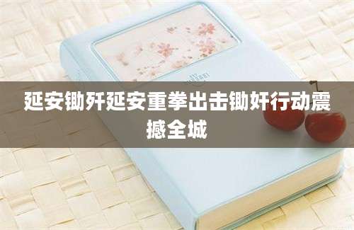 延安锄歼延安重拳出击锄奸行动震撼全城