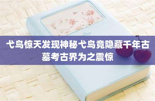 弋鸟惊天发现神秘弋鸟竟隐藏千年古墓考古界为之震惊
