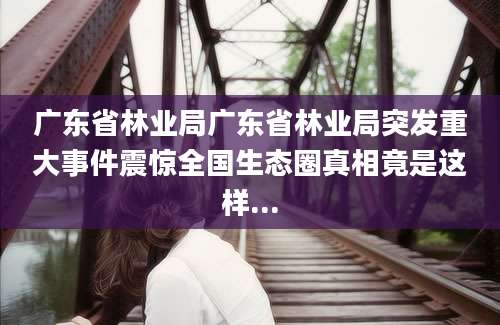 广东省林业局广东省林业局突发重大事件震惊全国生态圈真相竟是这样...