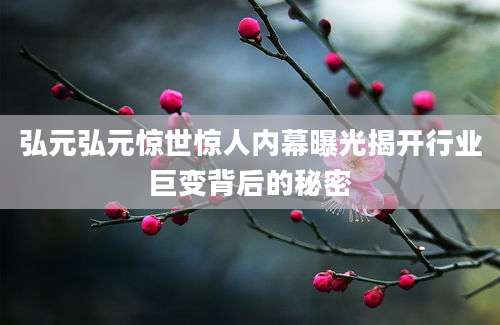 弘元弘元惊世惊人内幕曝光揭开行业巨变背后的秘密