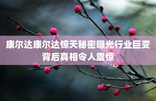 康尔达康尔达惊天秘密曝光行业巨变背后真相令人震惊