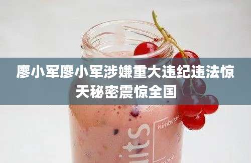 廖小军廖小军涉嫌重大违纪违法惊天秘密震惊全国