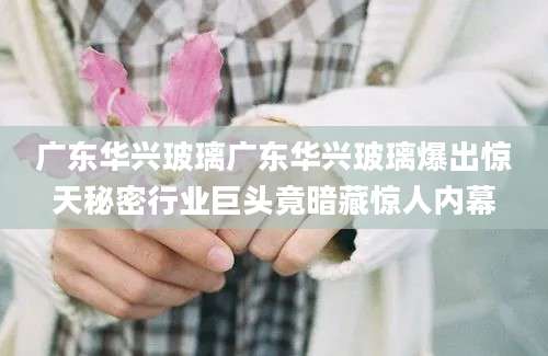 广东华兴玻璃广东华兴玻璃爆出惊天秘密行业巨头竟暗藏惊人内幕