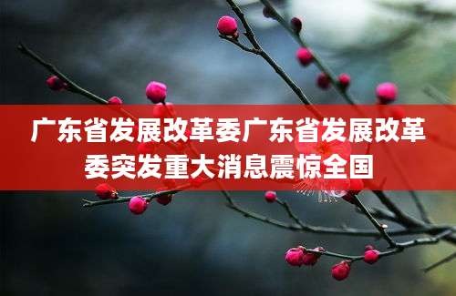 广东省发展改革委广东省发展改革委突发重大消息震惊全国
