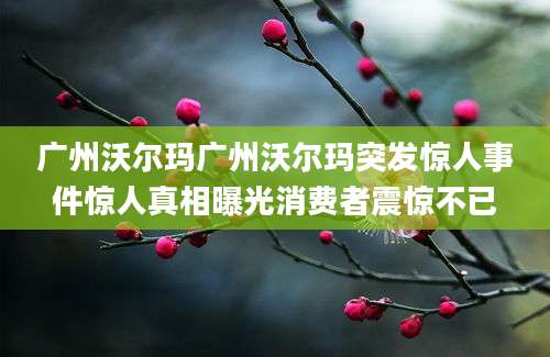 广州沃尔玛广州沃尔玛突发惊人事件惊人真相曝光消费者震惊不已