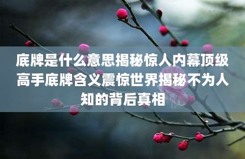底牌是什么意思揭秘惊人内幕顶级高手底牌含义震惊世界揭秘不为人知的背后真相
