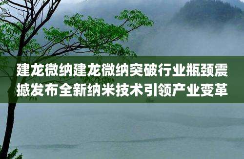 建龙微纳建龙微纳突破行业瓶颈震撼发布全新纳米技术引领产业变革
