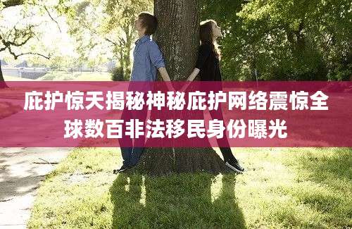 庇护惊天揭秘神秘庇护网络震惊全球数百非法移民身份曝光