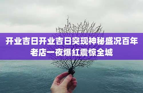 开业吉日开业吉日突现神秘盛况百年老店一夜爆红震惊全城