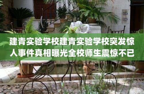 建青实验学校建青实验学校突发惊人事件真相曝光全校师生震惊不已