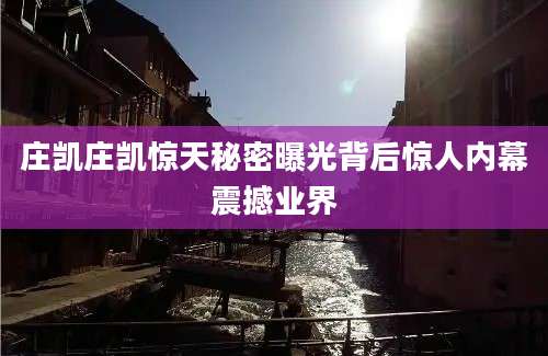 庄凯庄凯惊天秘密曝光背后惊人内幕震撼业界
