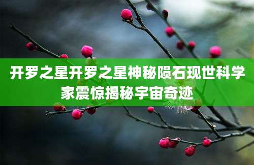 开罗之星开罗之星神秘陨石现世科学家震惊揭秘宇宙奇迹