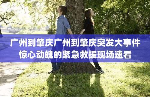广州到肇庆广州到肇庆突发大事件惊心动魄的紧急救援现场速看