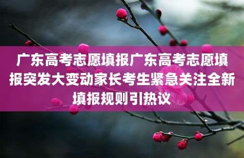 广东高考志愿填报广东高考志愿填报突发大变动家长考生紧急关注全新填报规则引热议