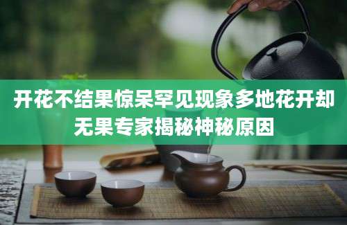 开花不结果惊呆罕见现象多地花开却无果专家揭秘神秘原因