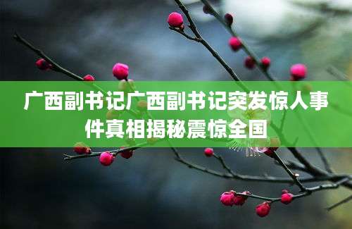 广西副书记广西副书记突发惊人事件真相揭秘震惊全国