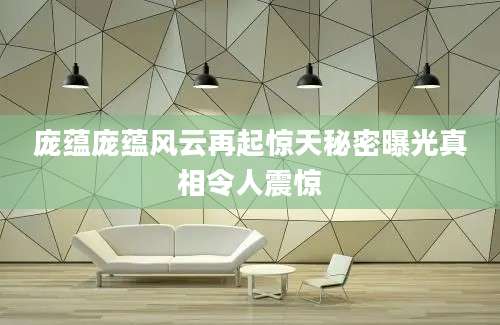 庞蕴庞蕴风云再起惊天秘密曝光真相令人震惊