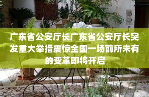 广东省公安厅长广东省公安厅长突发重大举措震惊全国一场前所未有的变革即将开启