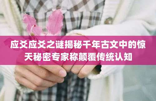 应爻应爻之谜揭秘千年古文中的惊天秘密专家称颠覆传统认知