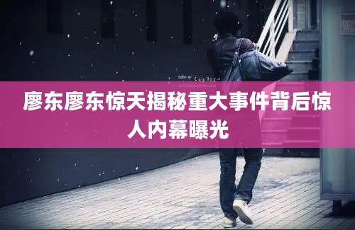 廖东廖东惊天揭秘重大事件背后惊人内幕曝光