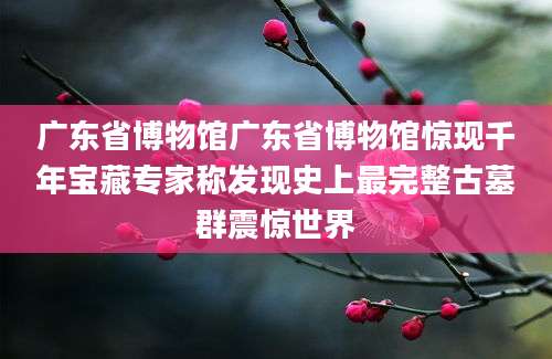广东省博物馆广东省博物馆惊现千年宝藏专家称发现史上最完整古墓群震惊世界