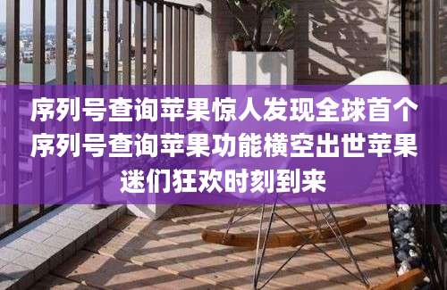 序列号查询苹果惊人发现全球首个序列号查询苹果功能横空出世苹果迷们狂欢时刻到来