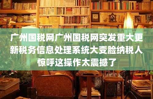 广州国税网广州国税网突发重大更新税务信息处理系统大变脸纳税人惊呼这操作太震撼了