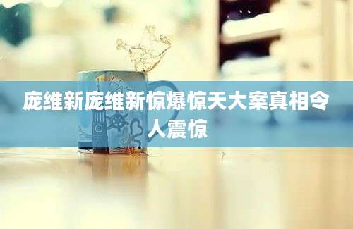 庞维新庞维新惊爆惊天大案真相令人震惊