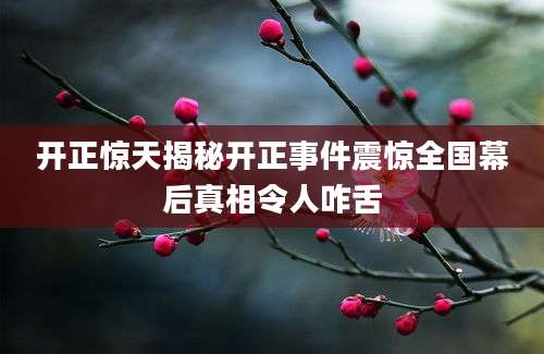 开正惊天揭秘开正事件震惊全国幕后真相令人咋舌