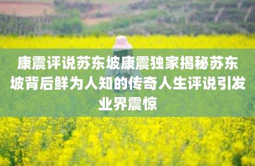 康震评说苏东坡康震独家揭秘苏东坡背后鲜为人知的传奇人生评说引发业界震惊