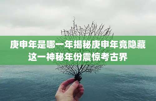 庚申年是哪一年揭秘庚申年竟隐藏这一神秘年份震惊考古界