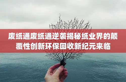 废纸通废纸通逆袭揭秘纸业界的颠覆性创新环保回收新纪元来临