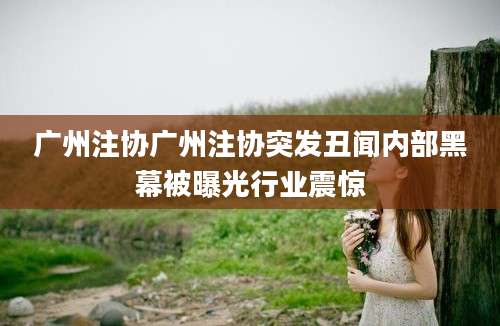 广州注协广州注协突发丑闻内部黑幕被曝光行业震惊