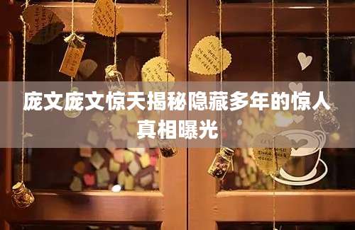 庞文庞文惊天揭秘隐藏多年的惊人真相曝光