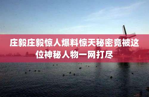 庄毅庄毅惊人爆料惊天秘密竟被这位神秘人物一网打尽