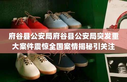府谷县公安局府谷县公安局突发重大案件震惊全国案情揭秘引关注