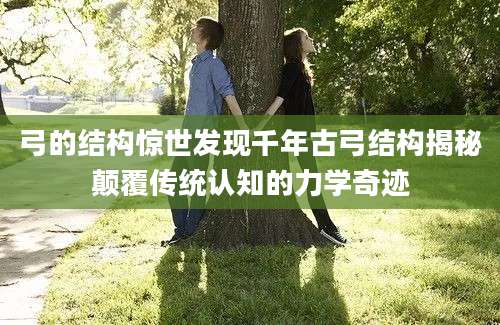 弓的结构惊世发现千年古弓结构揭秘颠覆传统认知的力学奇迹