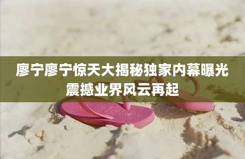 廖宁廖宁惊天大揭秘独家内幕曝光震撼业界风云再起