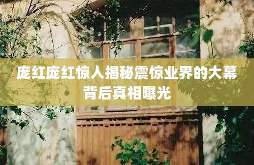 庞红庞红惊人揭秘震惊业界的大幕背后真相曝光