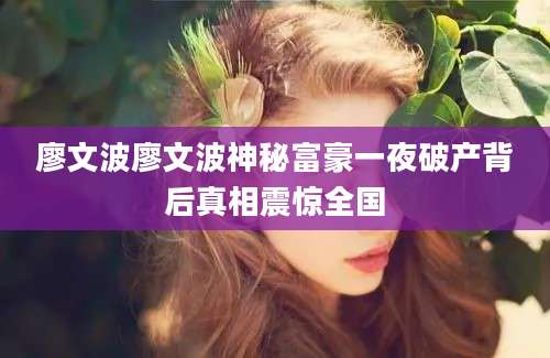 廖文波廖文波神秘富豪一夜破产背后真相震惊全国