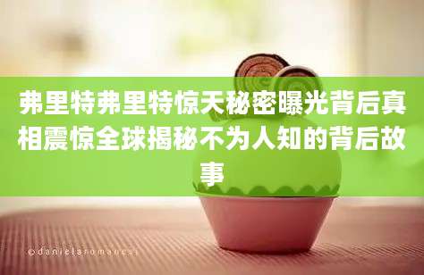 弗里特弗里特惊天秘密曝光背后真相震惊全球揭秘不为人知的背后故事