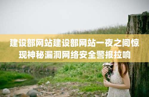 建设部网站建设部网站一夜之间惊现神秘漏洞网络安全警报拉响