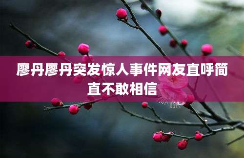 廖丹廖丹突发惊人事件网友直呼简直不敢相信