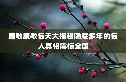 康敏康敏惊天大揭秘隐藏多年的惊人真相震惊全国