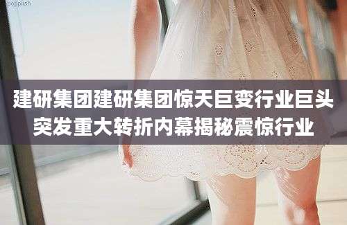 建研集团建研集团惊天巨变行业巨头突发重大转折内幕揭秘震惊行业