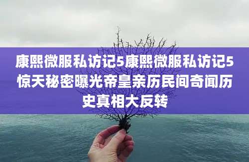 康熙微服私访记5康熙微服私访记5惊天秘密曝光帝皇亲历民间奇闻历史真相大反转