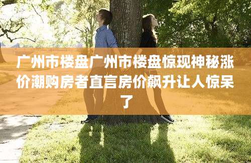 广州市楼盘广州市楼盘惊现神秘涨价潮购房者直言房价飙升让人惊呆了