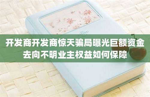 开发商开发商惊天骗局曝光巨额资金去向不明业主权益如何保障